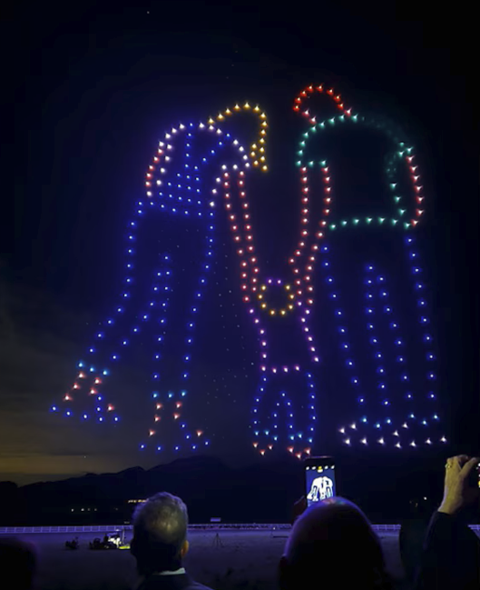 ドローンショー 出産祝いの画像